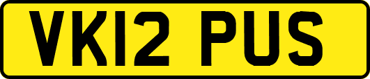 VK12PUS