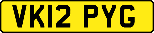 VK12PYG