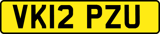VK12PZU