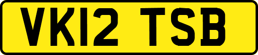VK12TSB