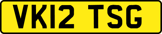VK12TSG