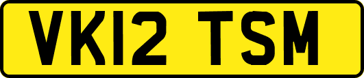 VK12TSM
