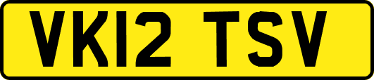 VK12TSV