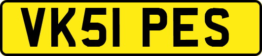 VK51PES