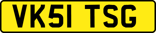 VK51TSG