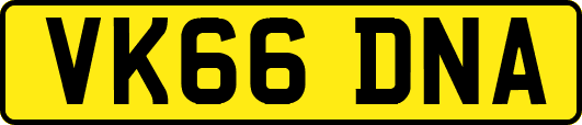 VK66DNA