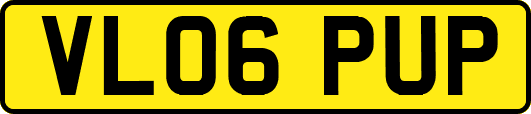 VL06PUP