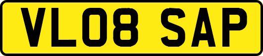 VL08SAP