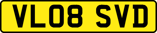 VL08SVD