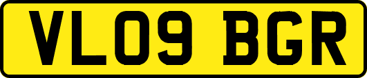 VL09BGR