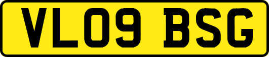 VL09BSG