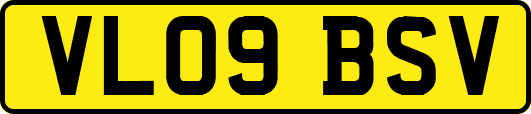 VL09BSV