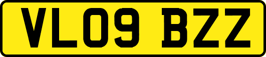 VL09BZZ