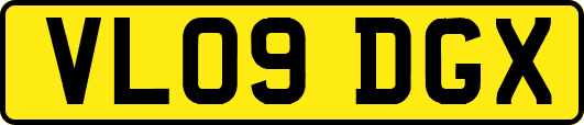 VL09DGX