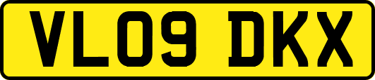VL09DKX