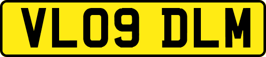 VL09DLM