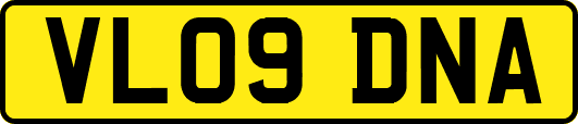 VL09DNA