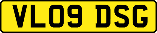 VL09DSG