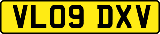 VL09DXV