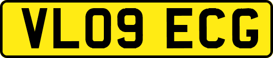 VL09ECG