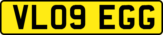 VL09EGG