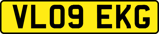VL09EKG