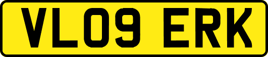 VL09ERK