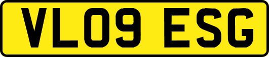 VL09ESG