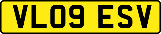 VL09ESV