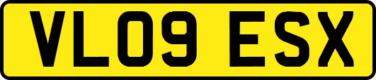 VL09ESX