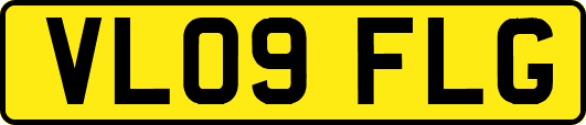 VL09FLG