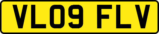 VL09FLV
