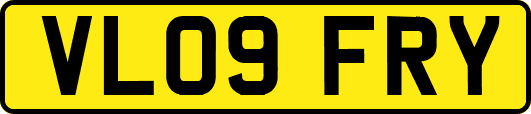 VL09FRY