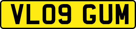 VL09GUM