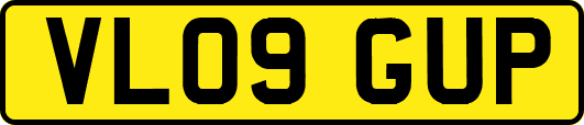 VL09GUP