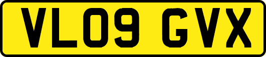 VL09GVX
