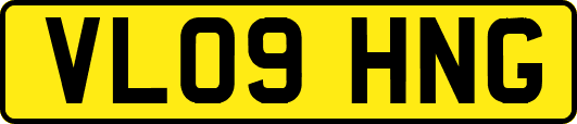 VL09HNG