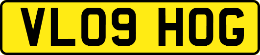 VL09HOG