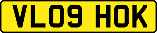 VL09HOK