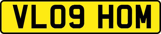 VL09HOM