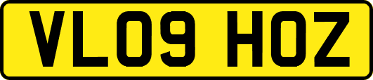 VL09HOZ