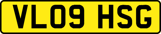 VL09HSG