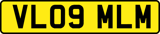 VL09MLM