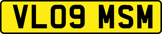 VL09MSM