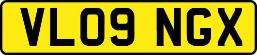 VL09NGX