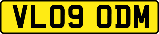 VL09ODM