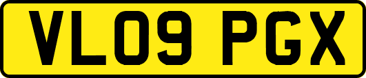 VL09PGX
