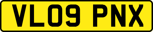VL09PNX