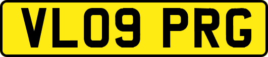 VL09PRG