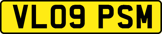 VL09PSM